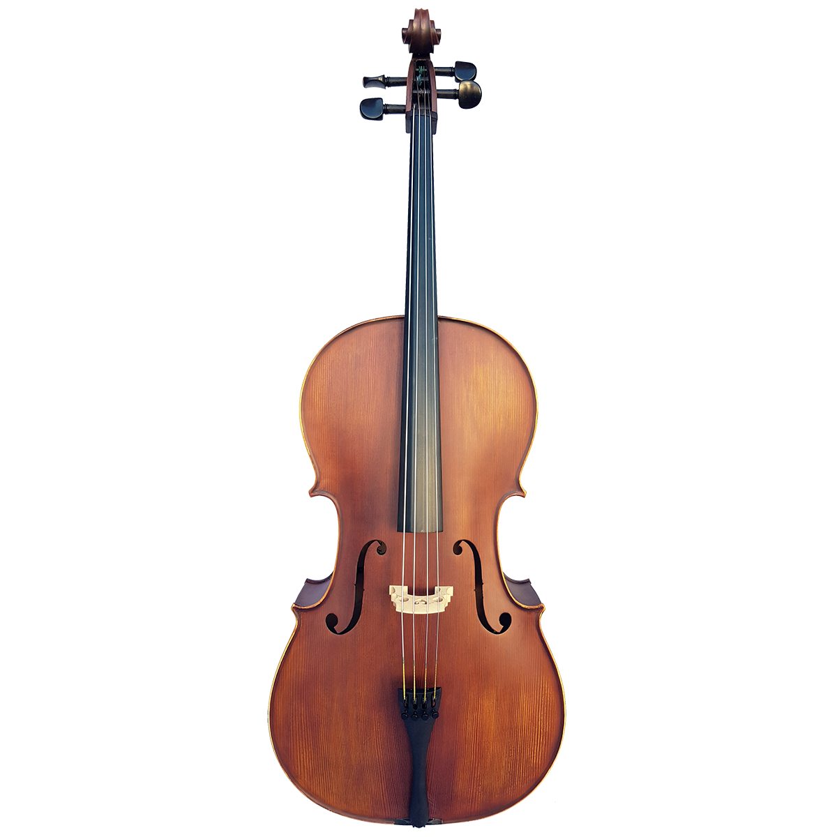 Vivo Elite 4/4 Cello Outfit with Solid Spruce Top, Flamed Maple Back, Ebony Fingerboard & Pegs, Lightweight Case