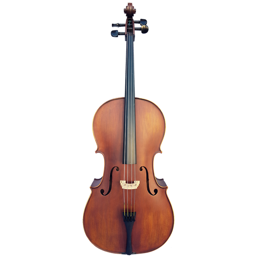 Vivo Elite 4/4 Cello Outfit with Solid Spruce Top, Flamed Maple Back, Ebony Fingerboard & Pegs, Lightweight Case