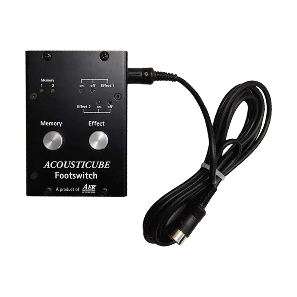 AER Amplifier Footswitch Controller for Acousticube 3 with 8-pin DIN, effects toggle, effects loop control, and channel mute inputs — view 2