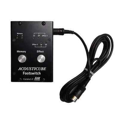 AER Amplifier Footswitch Controller for Acousticube 3 with 8-pin DIN, effects toggle, effects loop control, and channel mute inputs — view 2