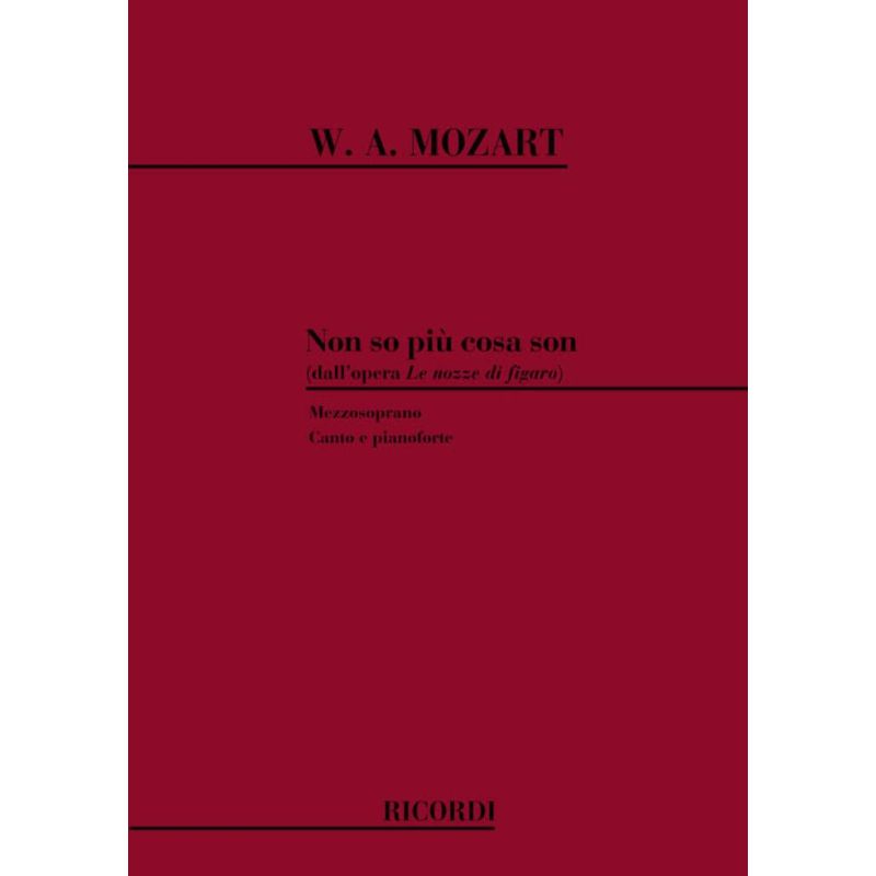 Non So Piu Cosa Son Cosa Faccio Book